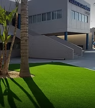 DreamHome