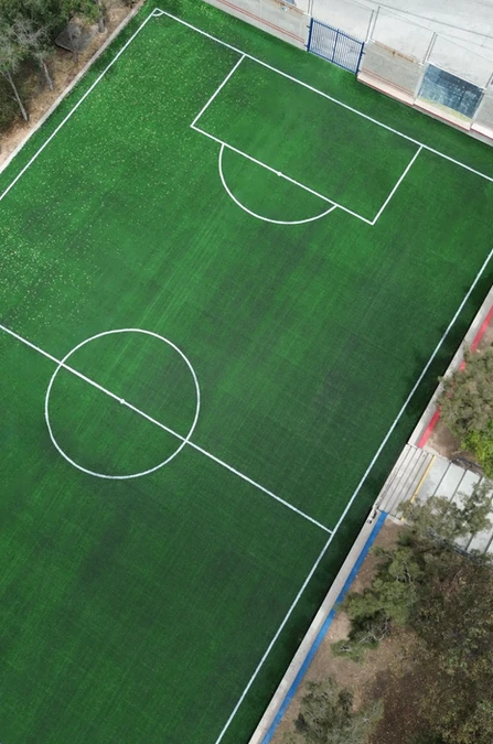 Dream Campus