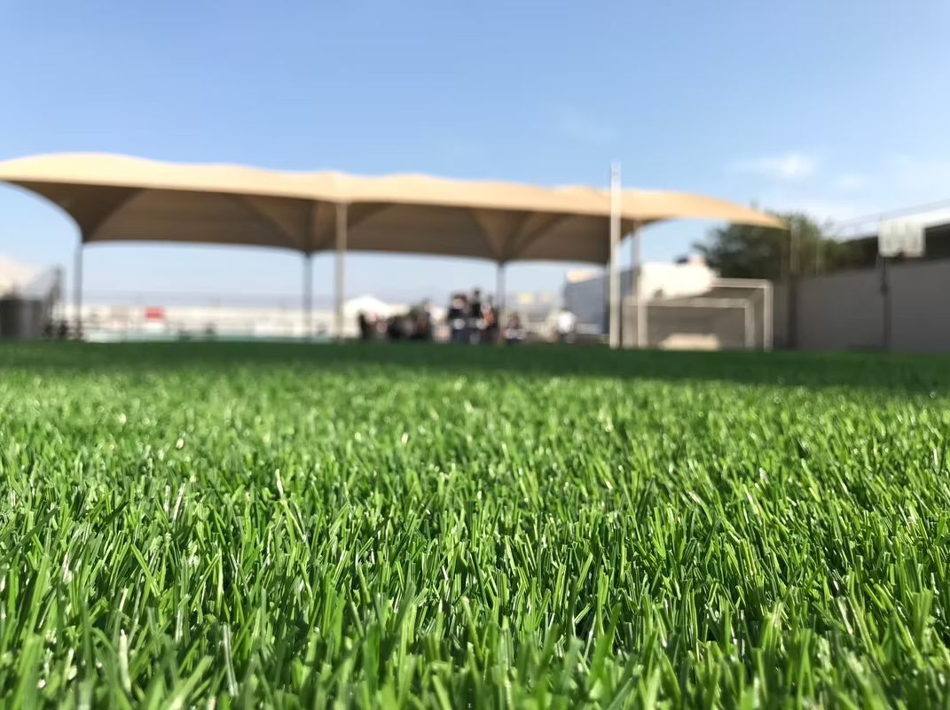 Pasto Sintético