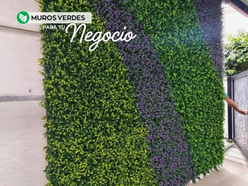 Privacidad y estilo en tu consultorio: El impacto del Muro Verde 
