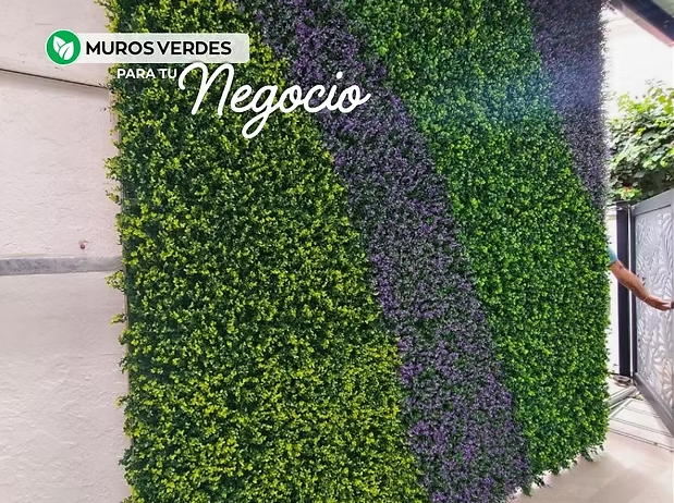 Privacidad y estilo en tu consultorio: El impacto del Muro Verde 